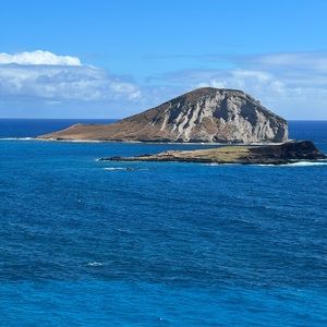 Meet your Posher, Bertha